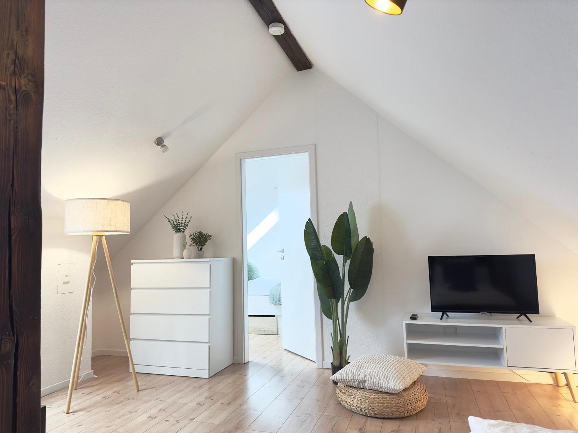 Grosses Maisonette Apartment I Top Lage I Prime Heidelberg Bagian luar foto